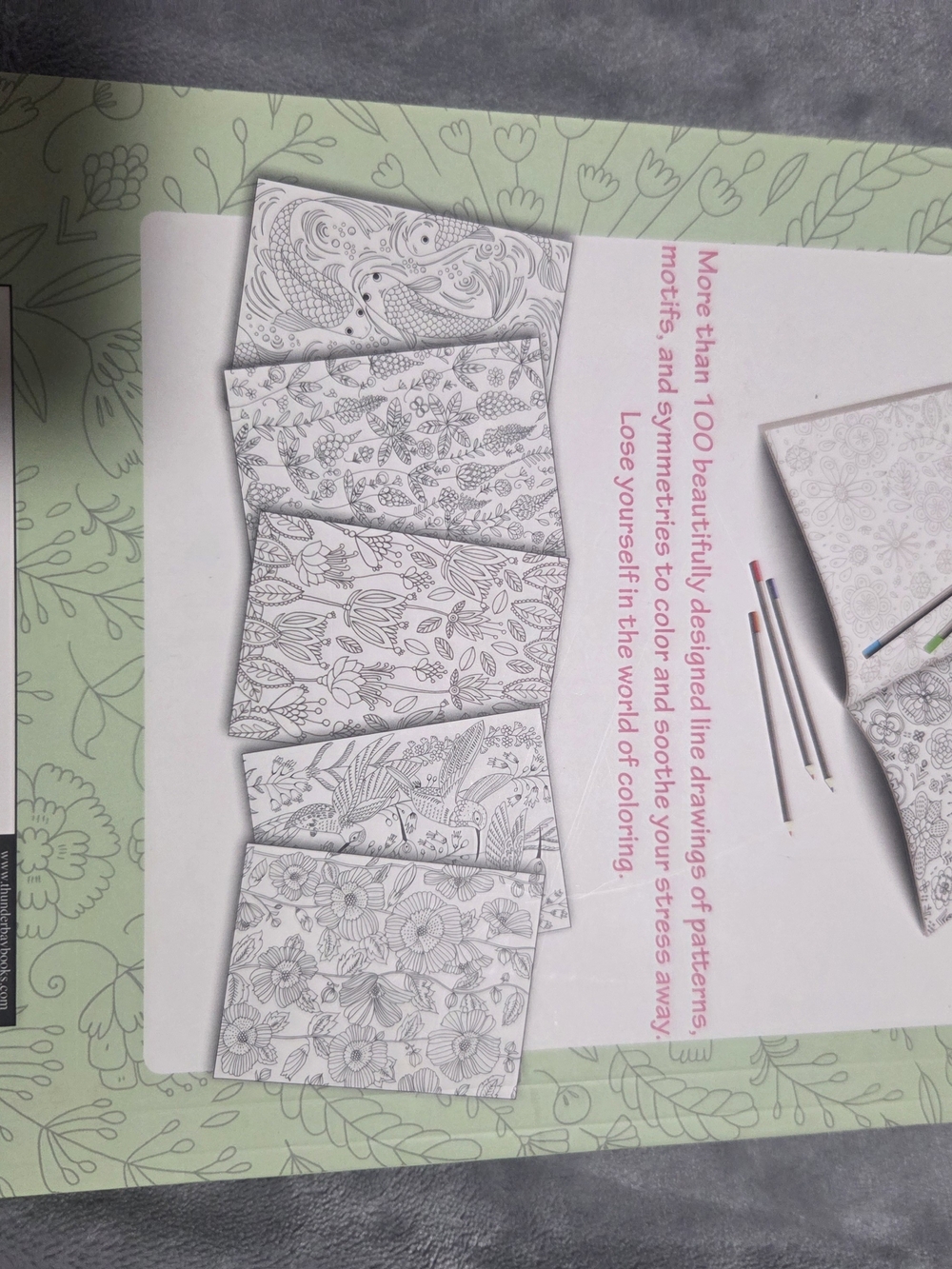 BUNDLE OF VARIOUS "FILL IN THE BLANK" STYLE BOOKS — INCLUDES 5 NEW BOOKS! - Picture 7 of 7